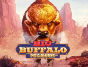 game logo by Skywind Group on hollywincasino.at