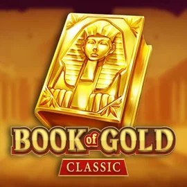 game logo by Playson on hollywincasino.at