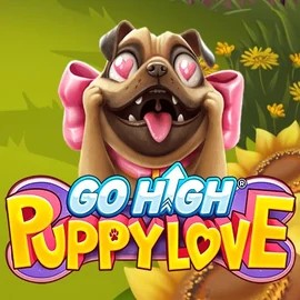 game logo by RubyPlay on hollywincasino.at