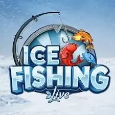 Play the Ice Fishing Live slot by Evolution on Hollywin Casino